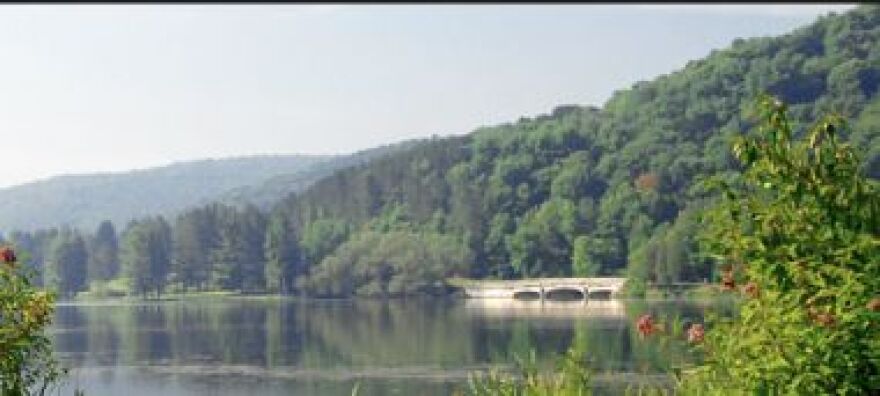 Allegany State Park