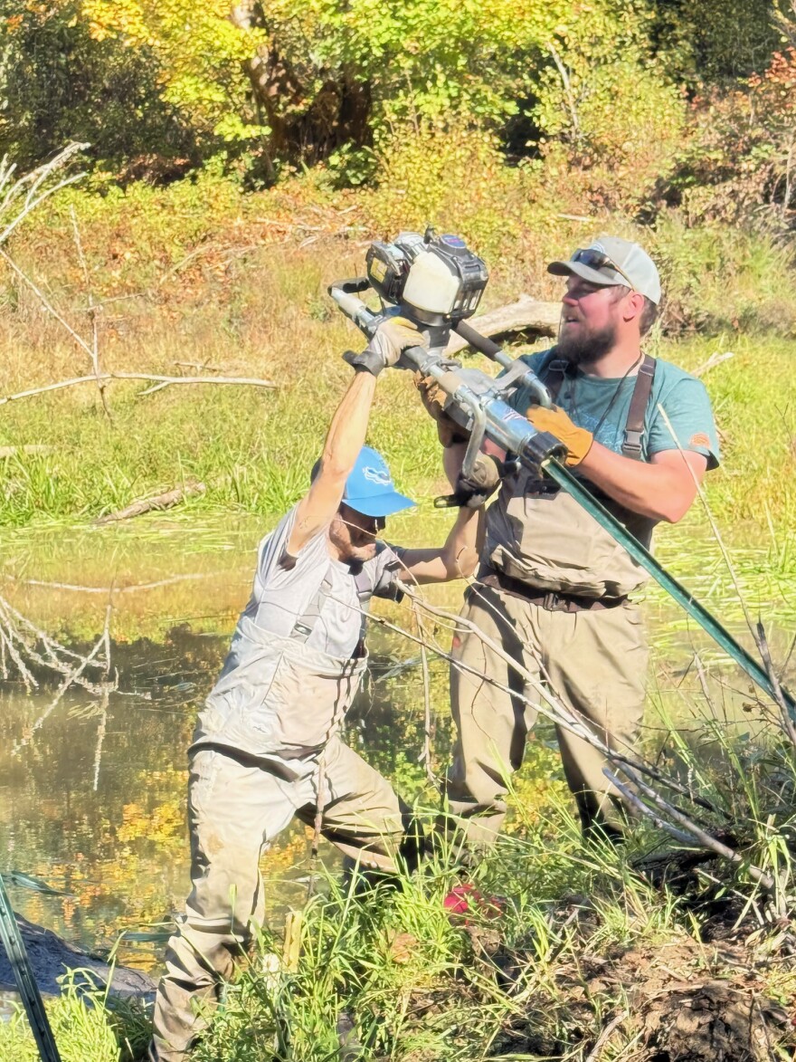 Men pound posts to reenforce a beaver dam.