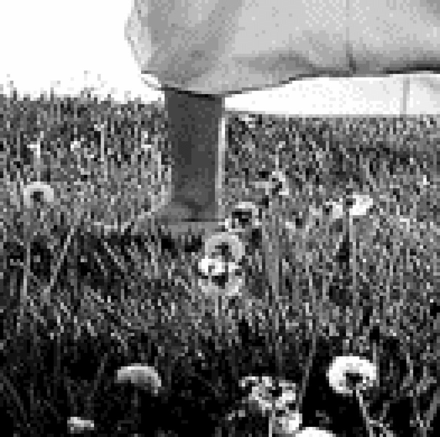 a still from White, by Rebecca Dolan