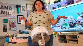 Tracy Rand uses a fan to help with her severe menopause symptoms, brought on after a surgery to remove her ovaries, at her home in Leesburg.