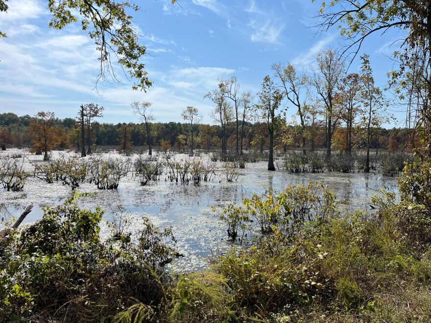 Mingo National Wildlife Refuge