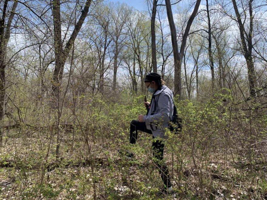 Wendy Porter stomps through nettles to look for morel mushrooms.