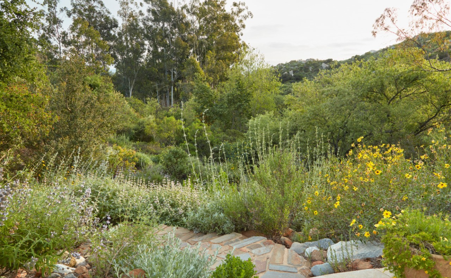 1. From the Phoenix, AZ home garden of Virginia Cave 2. From the Pacific Northwest Garden of Nancy Heckler 3. From the Nature Gardens at the Natural History Museum of LA County 4. From the home garden of Dennis Mudd in San Diego County, CA 5. Book cover