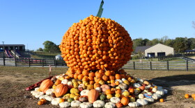 As a part of its Pumpkin Town attraction, Bear Wallow Farms in Nancy has a giant pumpkin made from pumpkins, as seen Oct. 8, 2026. The farm is one of Kentucky's many agritourism sites where people can visit and partake in activities like pumpkin picking and corn mazes.