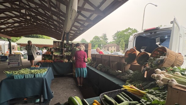 Shoppers at the Saratoga Springs Farmer's Market
