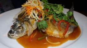 morimoto_branzino