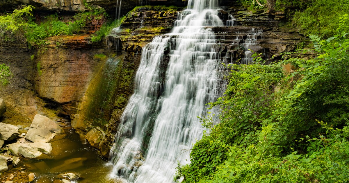 Brewing Locally Image