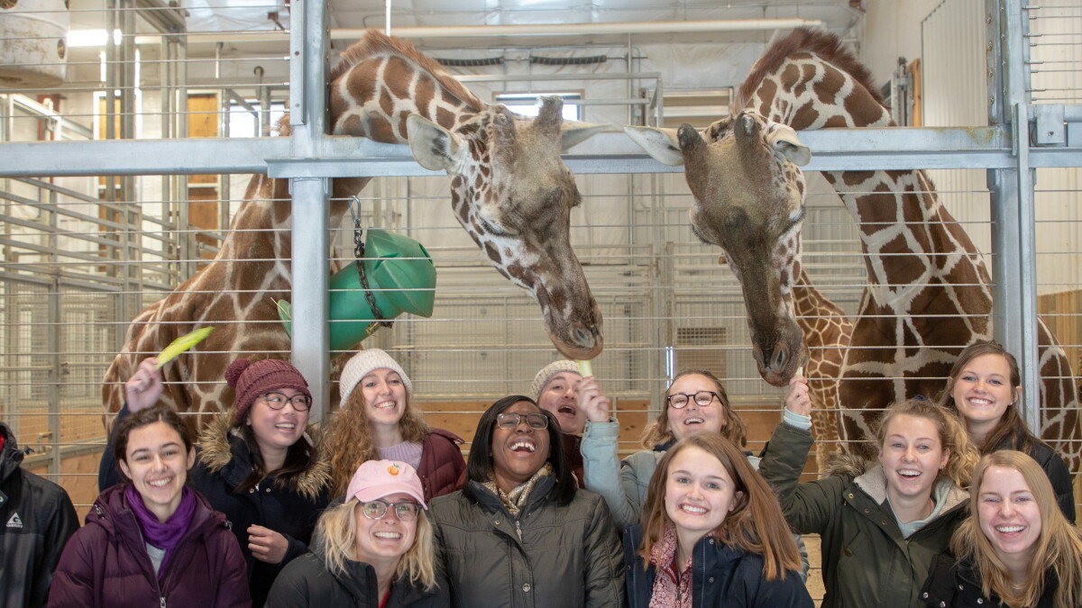 Drake is offering a new degree in zoo and conservation science - Vimarsana News