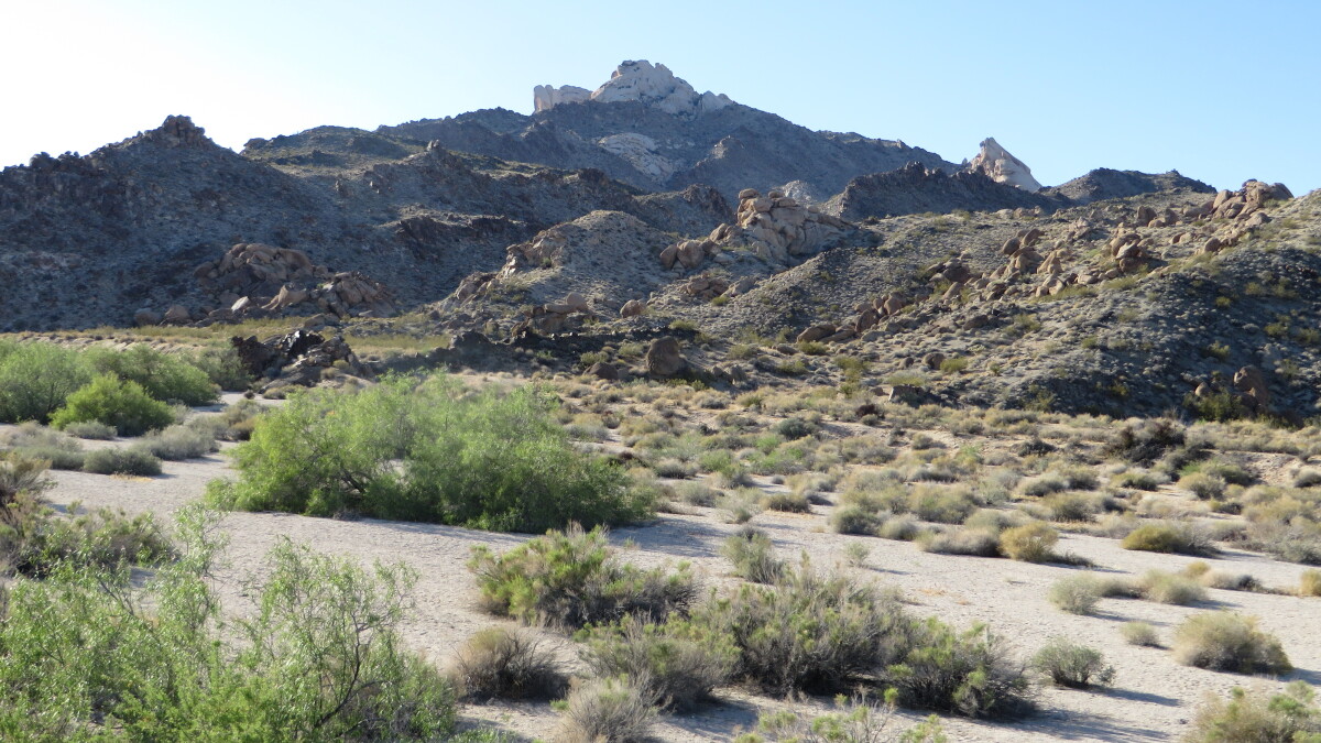 National monuments in the West boost local economies and ecosystems, report finds - Vimarsana News
