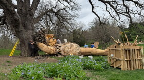 Marvin the troll rests under a tree at the Bickelhaupt Arboretum in Clinton.