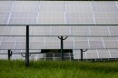 Solar panels are seen on Thursday, October 3, 2024 at Dominion's Black Bear Solar Farm in Dillwyn, Virginia.