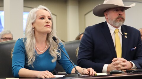 Rep. Savannah Maddox, a Republican from Dry Ridge, presents her legislation to allow 18, 19 and 20 year old Kentuckians to get provisional conceal carry licenses in a Senate committee. She's joined by GOP Sen. Aaron Reed, who has carried similar legislation before.