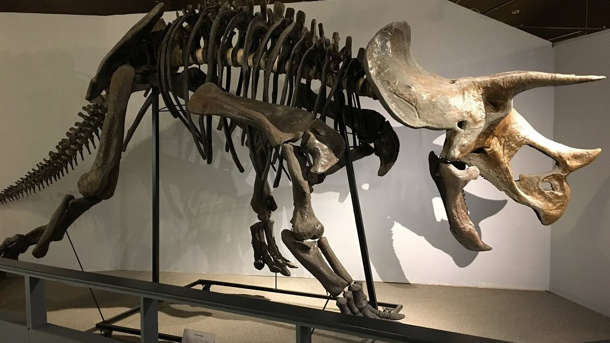 The Pioneer Trails Regional Museum ~ Lake Metigoshe St. Park ~ Andy Maus, Plains Art Museum ~ Matt Reviews "Book Club, the Next Chapter" - Vimarsana News
