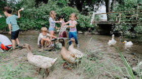 The creek serves as a learning conduit on a daily basis at Mud Club Nature Preschool.