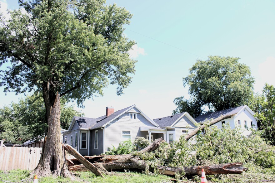 A large tree lays on the lawn in front of a stately home.