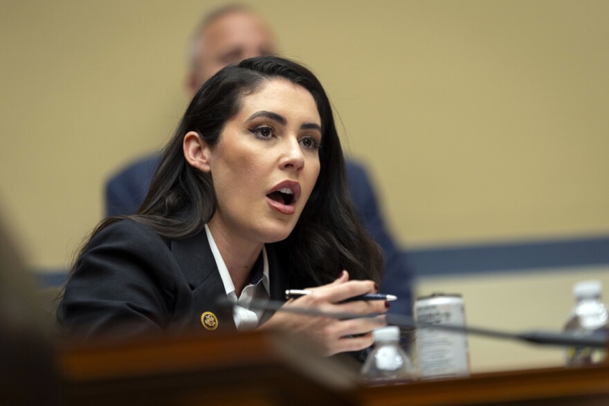 Woman with long black hair speaking while sitting down during a meeting