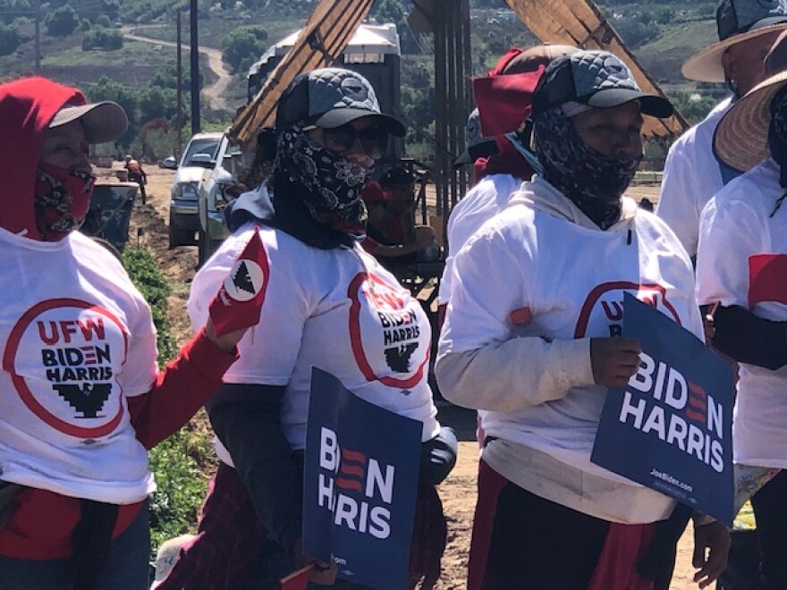 Farmworkers at a Moorpark event in which the United Farm Workers union announced its endorsement of the Biden-Harris ticket.