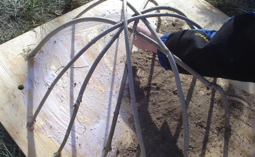 Six branches have been added to the plywood to make a dome structure. Sand and rocks have been glued to the surface of the wood.