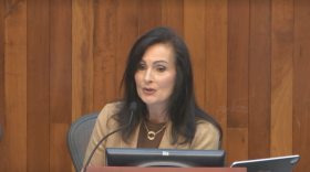 Greensboro Mayor Nancy Vaughan speaks during a city council meeting on Tuesday, September 24. (Screenshot courtesy city of Greensboro)