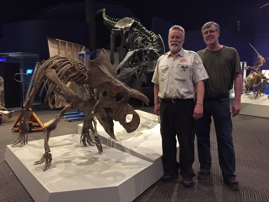 Paleontologist Mike Triebold (left) and co-curator Angus Carroll (right) pose next to "Ava", a new dinosaur featured at their exhibit, Darwin & Dinosaurs.