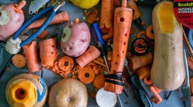 Vegetables and tools on display for a July performance of the Long Island Vegetable Orchestra