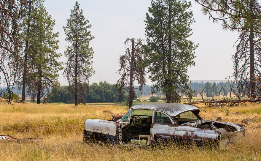 An old Ford Mercury sits in a field sparsely dotted with fire-scarred trees on Maurice Robinetto’s ranch on July 22. The Gray Fire in 2023 burned part of Robinetto’s ranch and threatened his daughter’s home. Robinetto says he became interested in grazing for fuel mitigation after seeing how the same fire burned on two of his neighbor’s properties with vastly different land management practices.