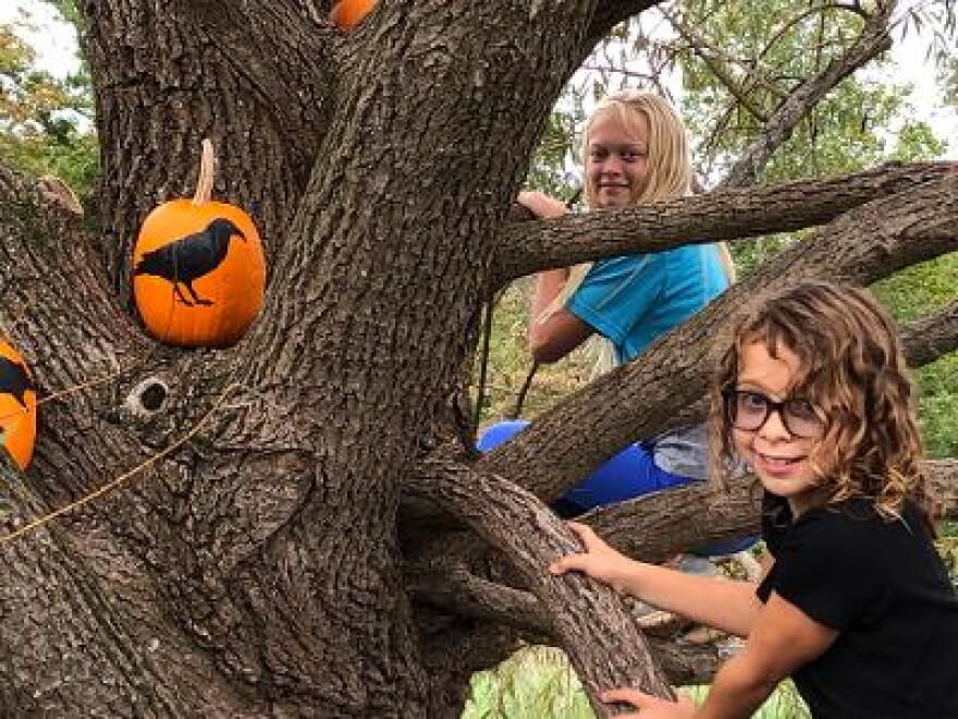 Lucy and her friend Maria perch in a tree filled with holiday pumpkins.
