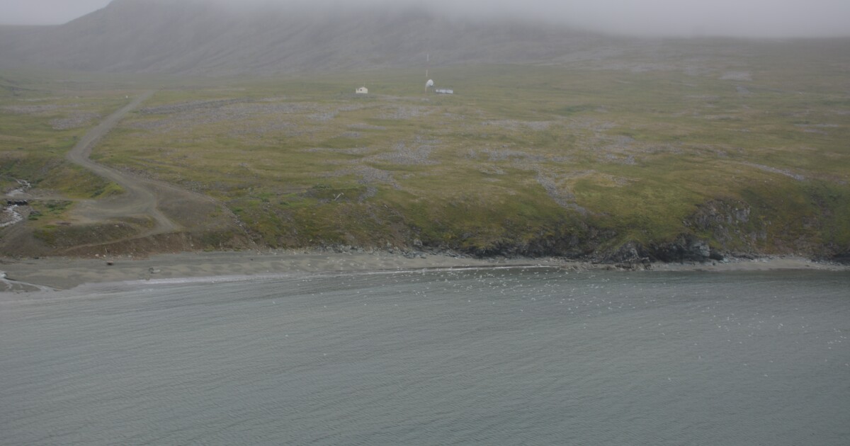 Charter plane with multiple occupants crashes in Southwest Alaska