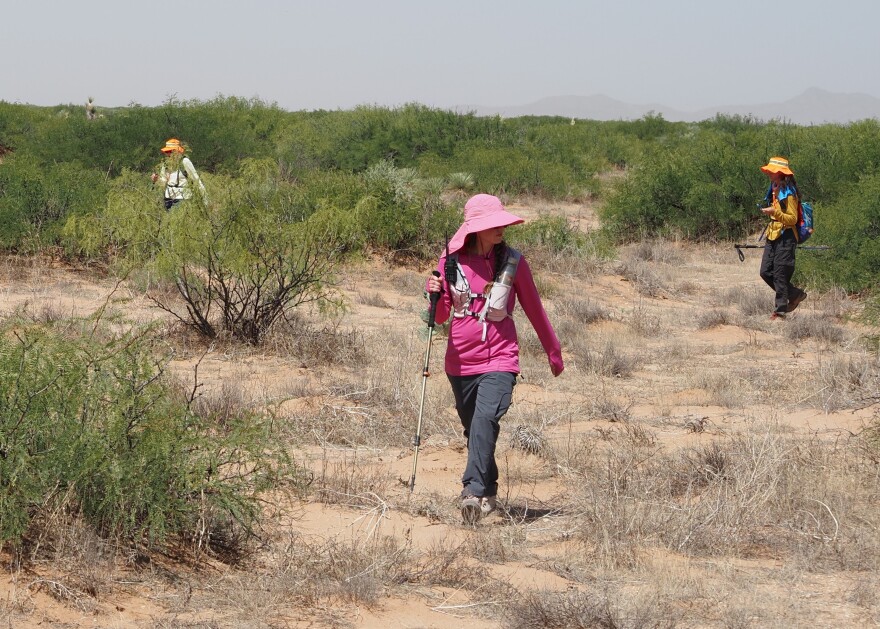Battalion Search and Rescue volunteers hike through the desert near El Paso in early June 2026.