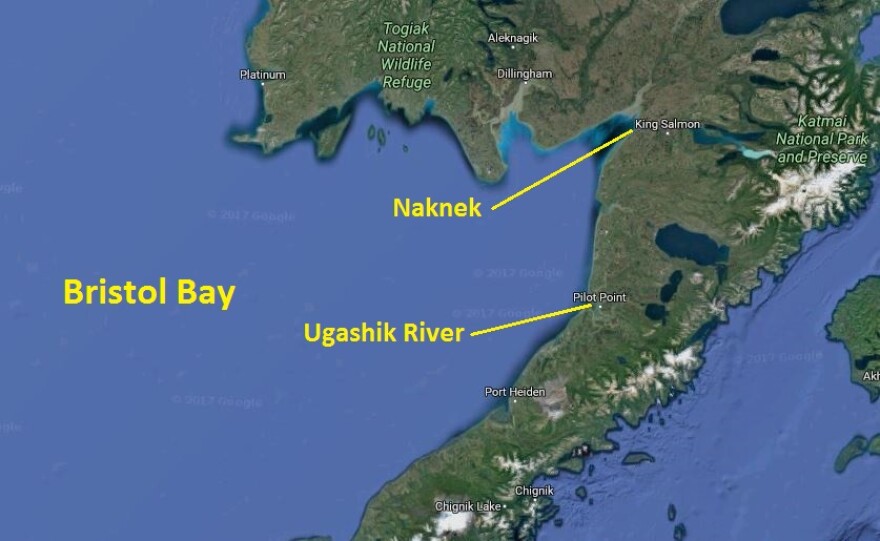 The distances in Bristol Bay can make a difference in fish quality. Last year, Glaab says, a lot of seining took place in the southern part of the bay, a 2-day run from Naknek. (KCAW graphic)