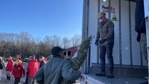 Volunteers loading trees on to the FedEx truck at Ellms Tree Farm