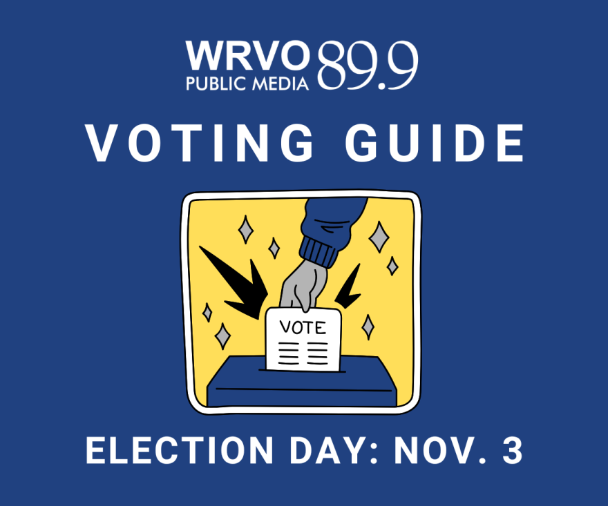 Illustration of a hand dropping a ballot marked 'Vote' into a ballot box. WRVO 2026 Voting Guide. Election Day: Nov. 3.
