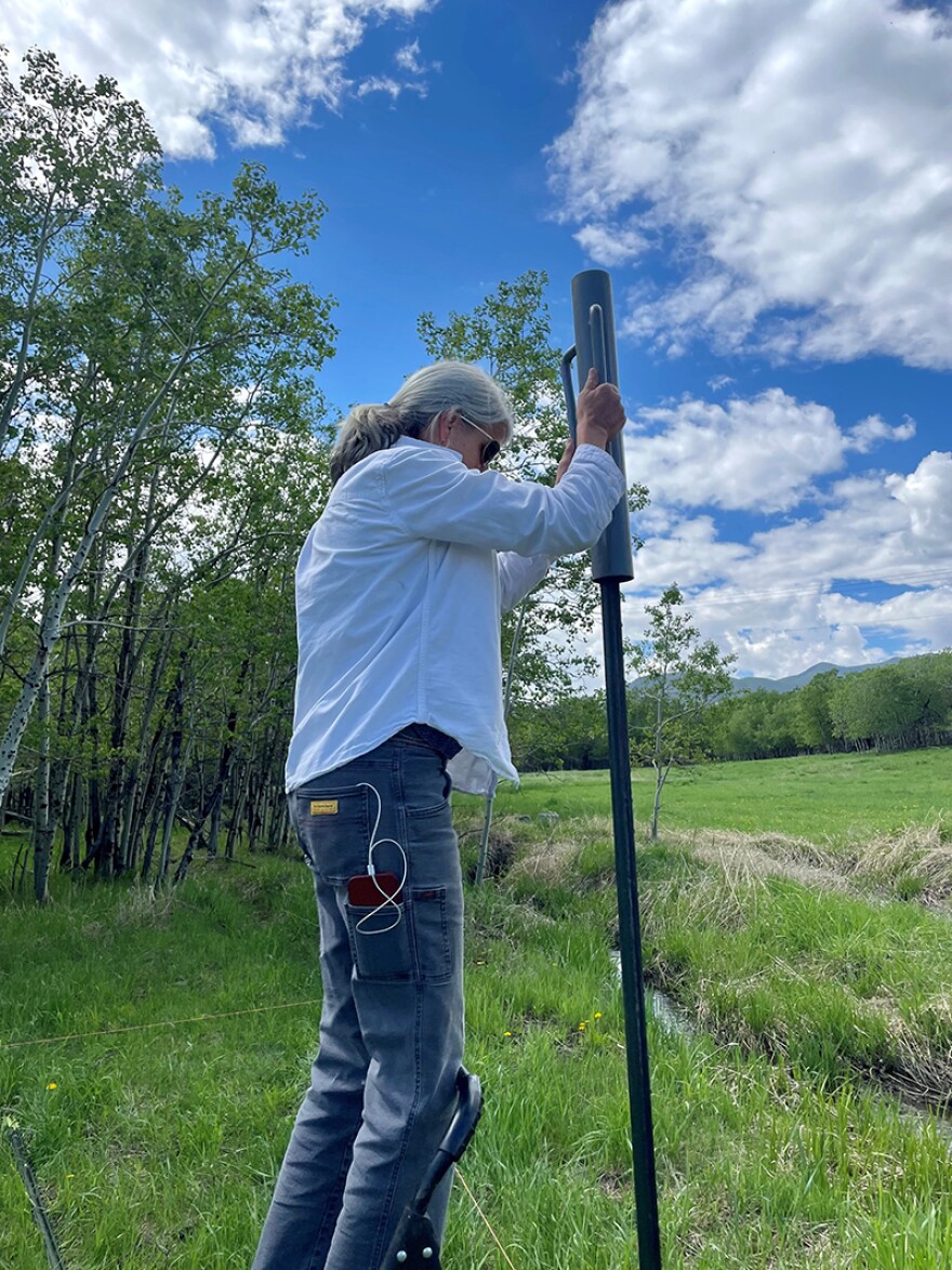 Sara Johnson of Second Bloom Flowers in Red Lodge pounds posts for her bear fence