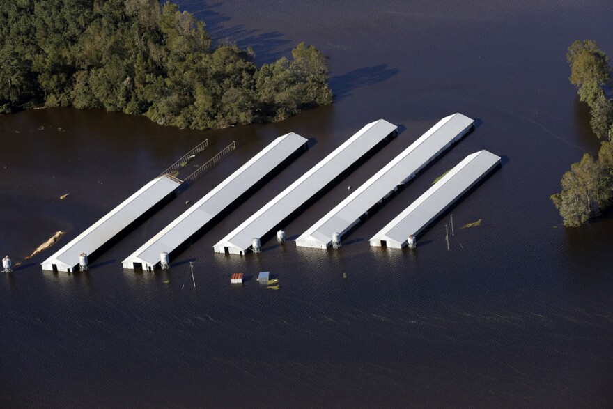 An aerial photograph of a CAFO, or concentrated animal feeding operation, taken on Monday, October 10, 2016 shows the facility surrounded by water.