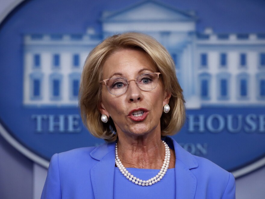 Education Secretary Betsy DeVos speaks to reporters about the coronavirus at the White House in March.