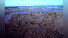 North Inlet - Winyah Bay National Estuarine Research Reserve. Aerial view of meandering tidal creeks and extensive pristine marshes in North Inlet Estuary. Vicinity of Georgetown, South Carolina.
