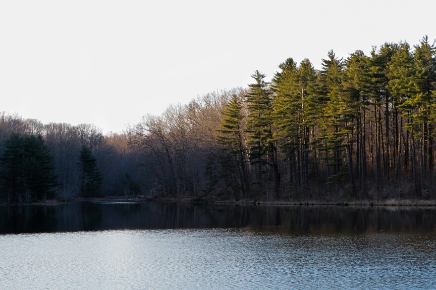 Perry State Forest in southeast Ohio could be the site of a proposed strip mine, unless residents succeed in opposing the proposal.