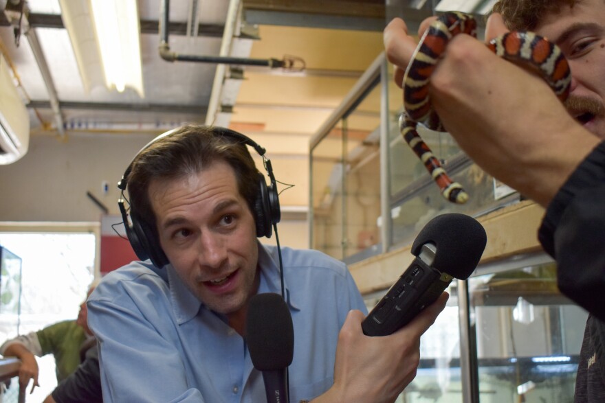 Man in headphones hold microphone toward snake