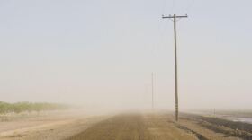High winds kick up dust blowing across a farm road in southwestern Madera County. The fungus Coccidioides grows in the soil and its spores, which can cause valley fever, are spread by blowing dust in the San Joaquin Valley.