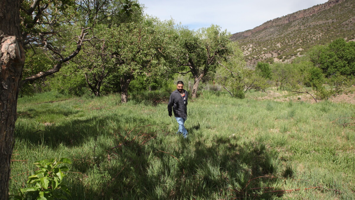 With small farms in decline, growers seek help from the Farm Bill - Vimarsana News