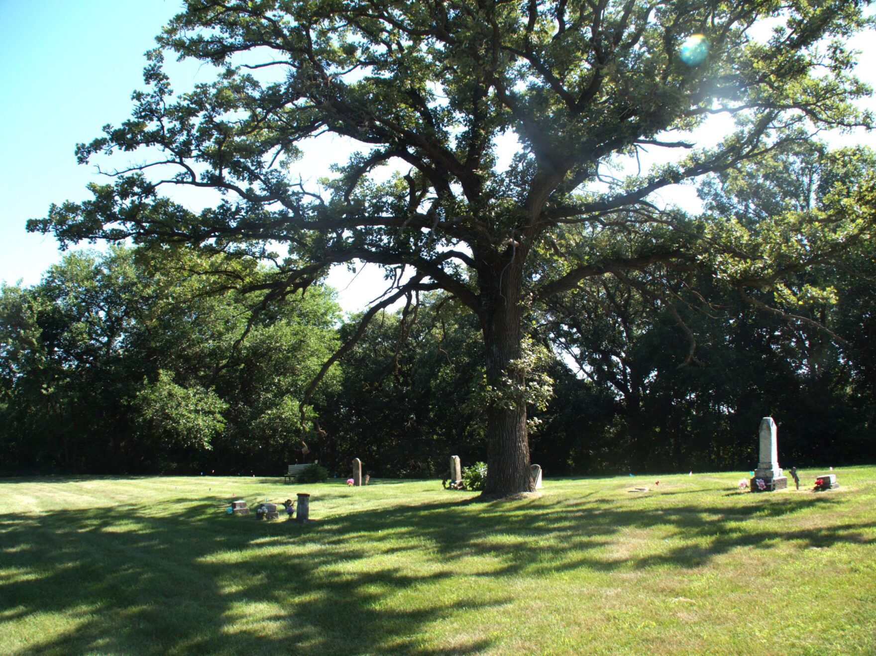 An African American Cemetery That Keeps Its Mysteries