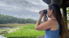 Ecohydrologist and author Hillary Flower looks through a pair of binoculars from the boardwalk on La Chua Trail at Paynes Prairie Preserve State Park. (Kristin Chermont Spina/WUFT News)