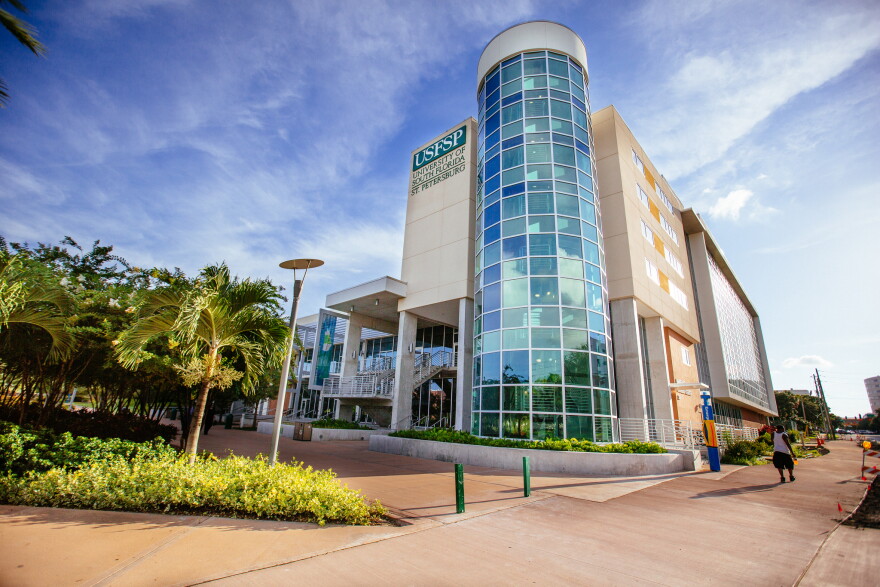University of South Florida St. Petersburg