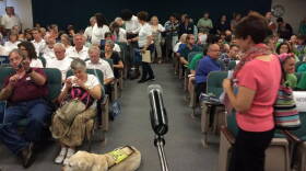 In the Lafayette City Council chambers, supporters of the ordinance wore green and opponents white, and were split down the aisle at Tuesday's meeting.