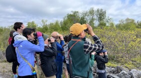 A group of kids in colorful jackets hold binoculars up to their eyes as they search for a warbler.