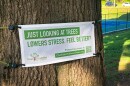 Well-maintained trees reduce stormwater velocity, urban heat, and psychological stress.