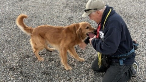 Man training a dog.