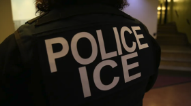 A U.S. Immigration and Customs Enforcement agent.