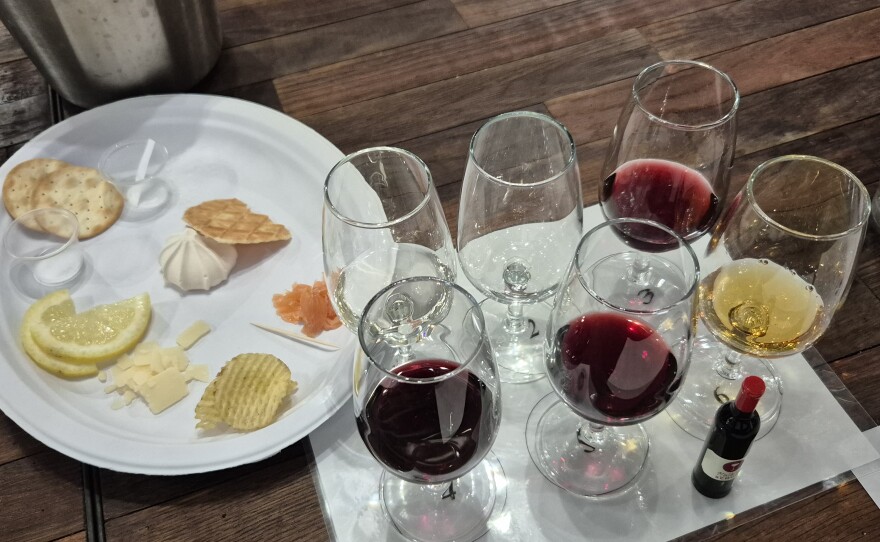 Six wines were paired with salty (salt), sour (lemon), umami (Parmesan cheese), fat (smoked salmon), sweet (meringue and stroopwaffle) and finally chili (ghost pepper potato chips).
