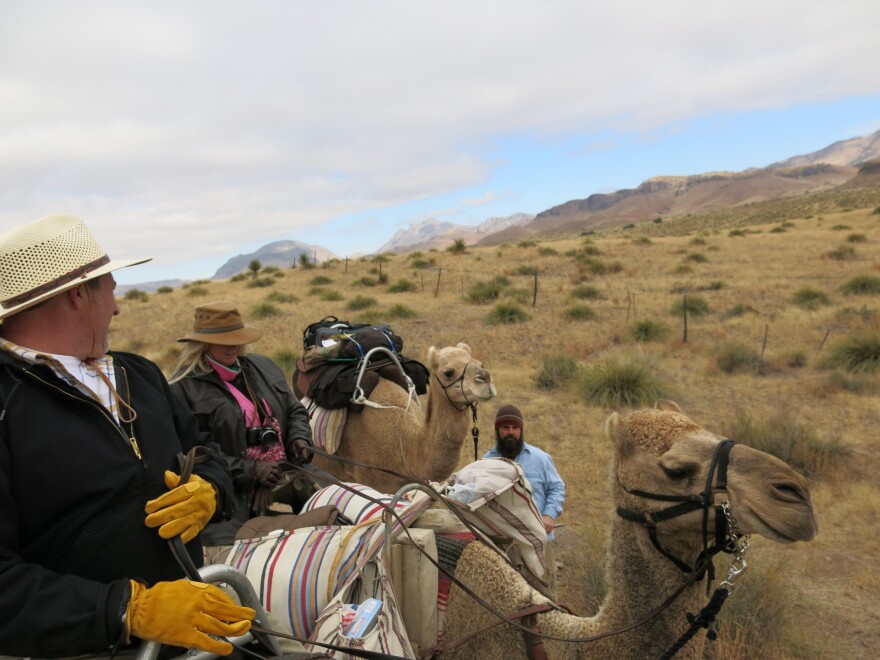The group treks through the Chihuahuan desert of the Davis Mountains, single file.